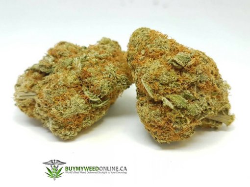 Strawberry Crush cannabis strain