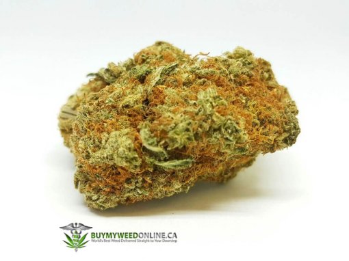 Strawberry Crush - Sativa Dominant Hybrid