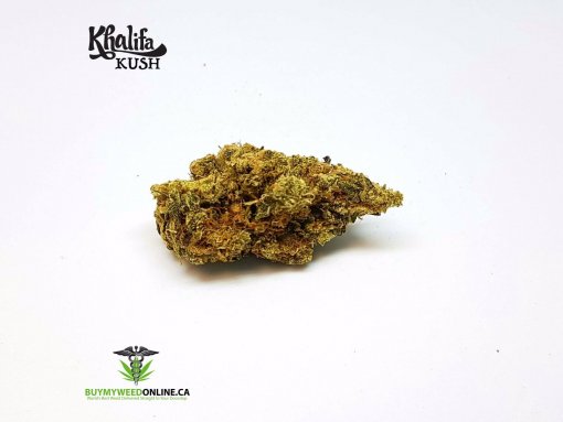 Khalifa Kush - Indica Dominant Hybrid