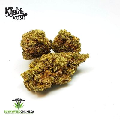 Khalifa Kush cannabis strain buds