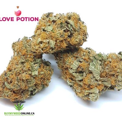 Love Potion #9 cannabis strain