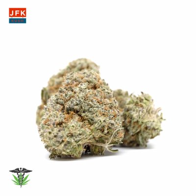 JFK Kush cannabis strain