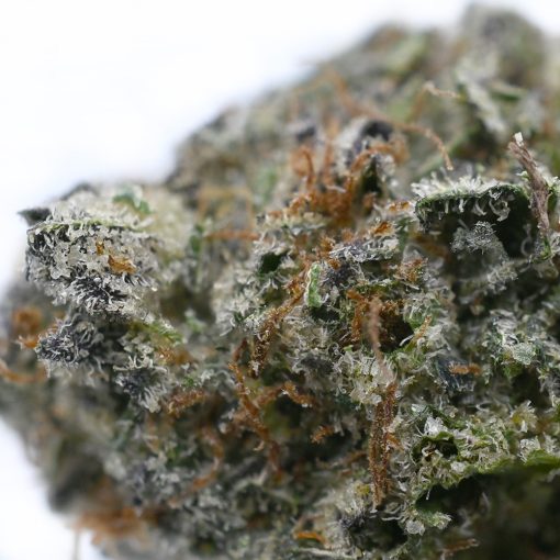 High-quality White Frost cannabis flower