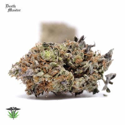 Premium Death Master Cannabis Strain