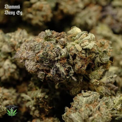 Diamond Dawg Og - Balanced Hybrid