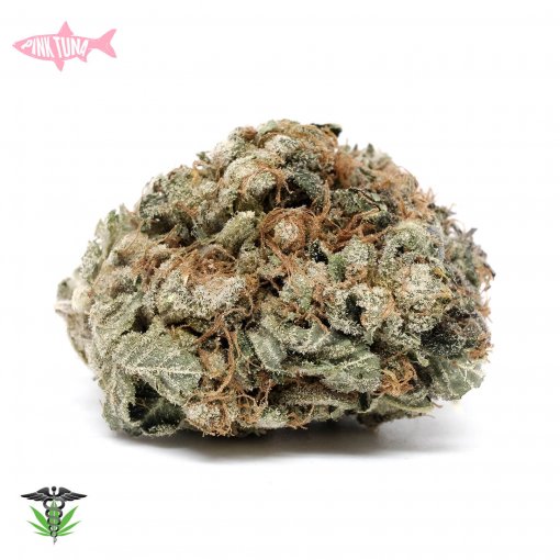 Pink Tuna - Indica dominant hybrid