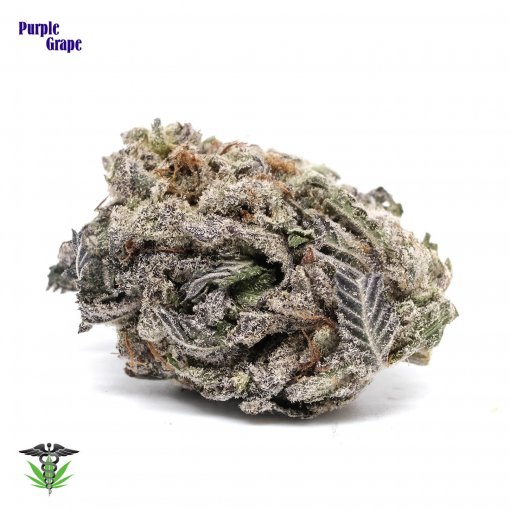 Purple Grape - Indica dominant hybrid