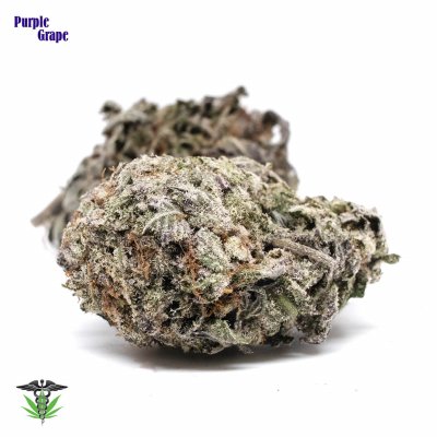 Purple Grape bud