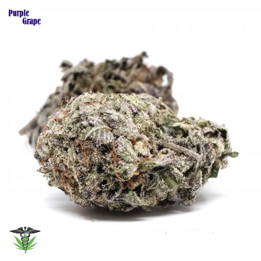 Purple Grape bud