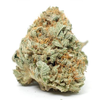 Gorilla Glue #4 Cannabis Strain - Dense Buds & Fiery Orange Hairs