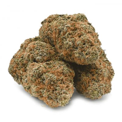 Gelato Cannabis Strain: Aromatic Buds Ready for Consumption