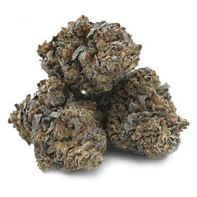 Purple Haze cannabis strain in vibrant buds