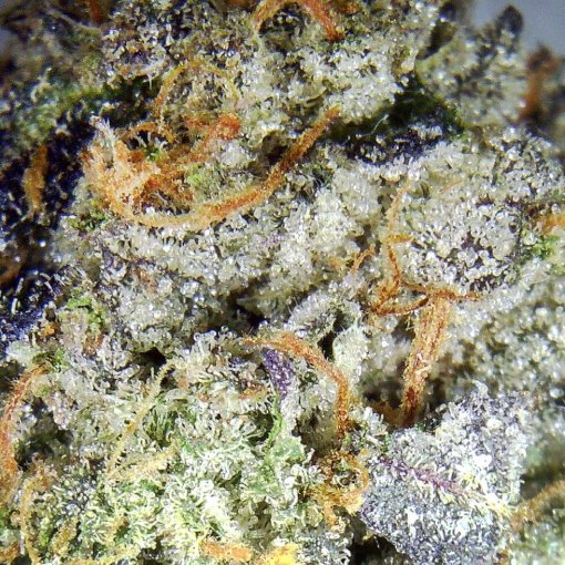 uy WiFi OG Weed Online - Potent Indica Hybrid