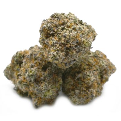 Space Zookies Cannabis Strain