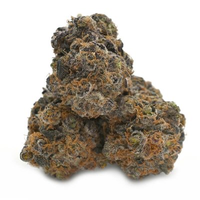 Animal Tsunami cannabis strain