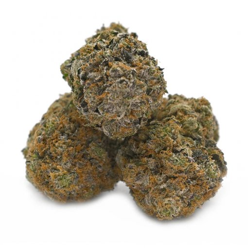 Black D.O.G. Thunder Buddies cannabis strain