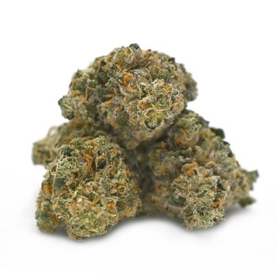 Jokerz cannabis strain