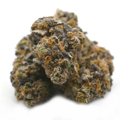 Premium Platinum Blueberry cannabis strain for sale