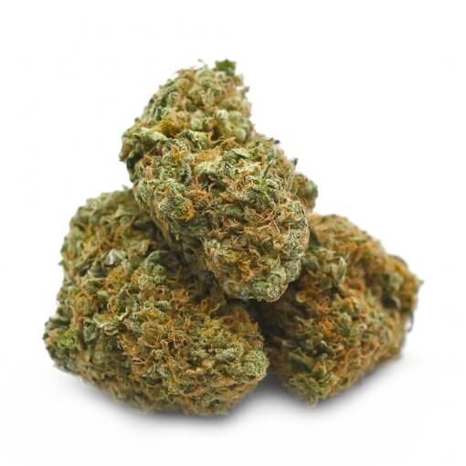 Orange Skunk Cannabis Strain: Aroma, Flavor, and Effects