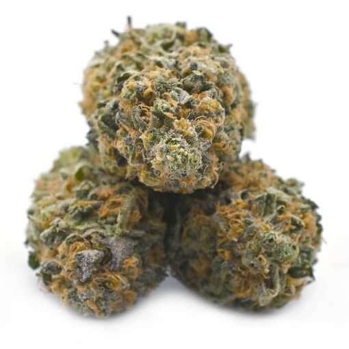 Tropic Truffle cannabis buds from Popeye's Ganja Bags