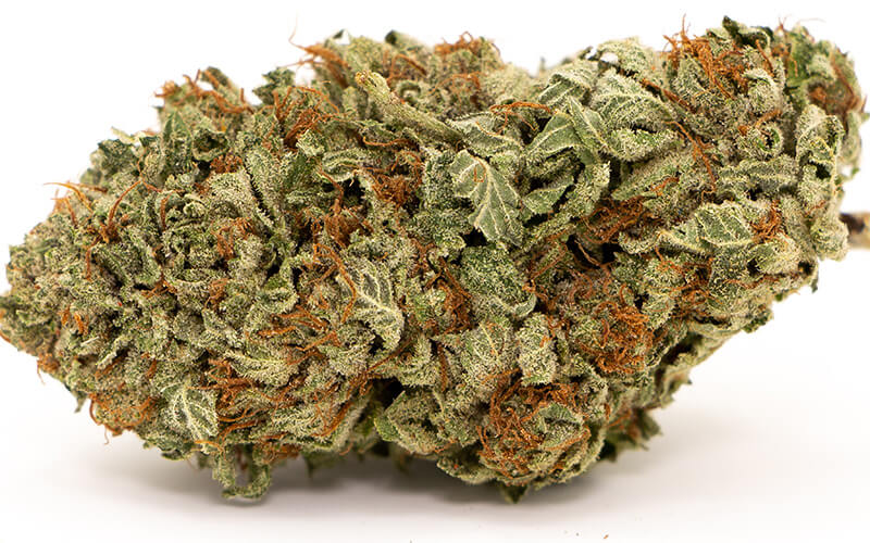 Death Bubba Cannabis Strain Review