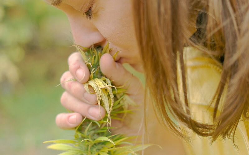 High from smelling cannabis