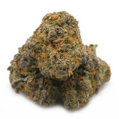 Black Cherry OG cannabis strain - potent indica hybrid