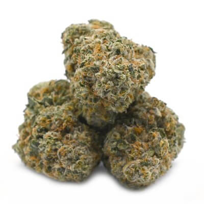 La Confidential cannabis strain