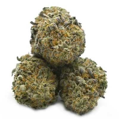 Animal Crackers strain - potent hybrid marijuana