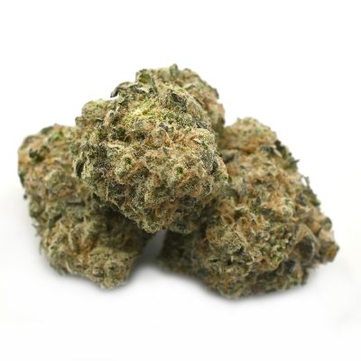 Candyland Cannabis Strain