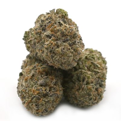 Sunset Cookies marijuana strain with vibrant orange and purple hues