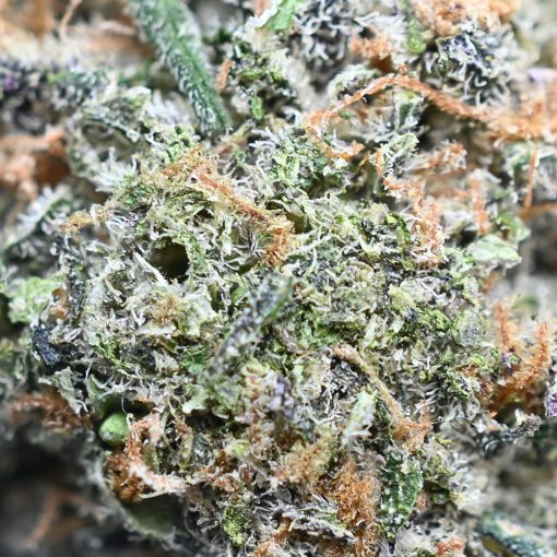 Crystal Coma cannabis strain buds close-up