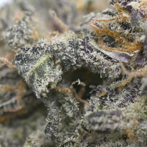 Crystal Coma strain high-quality cannabis product