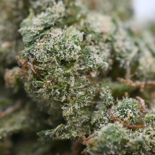 Buy Agent Orange Weed Online