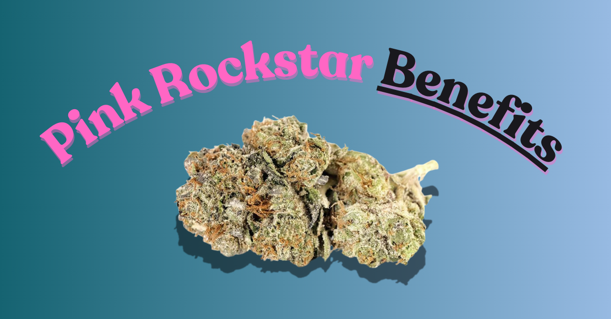 pink rockstar benefits featured image