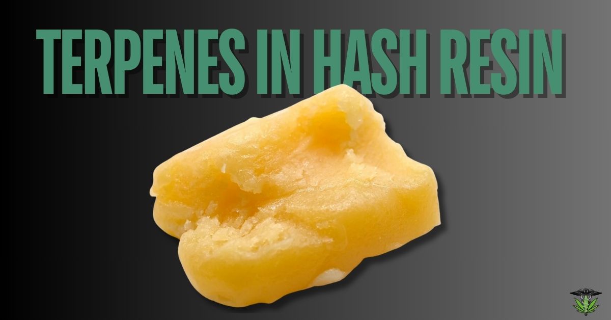 terpenes in hash resin featured image