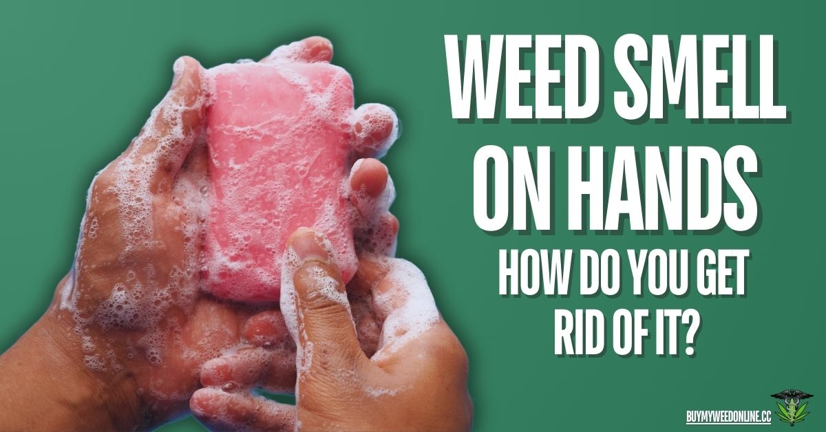 how to get rid of weed smell on hands