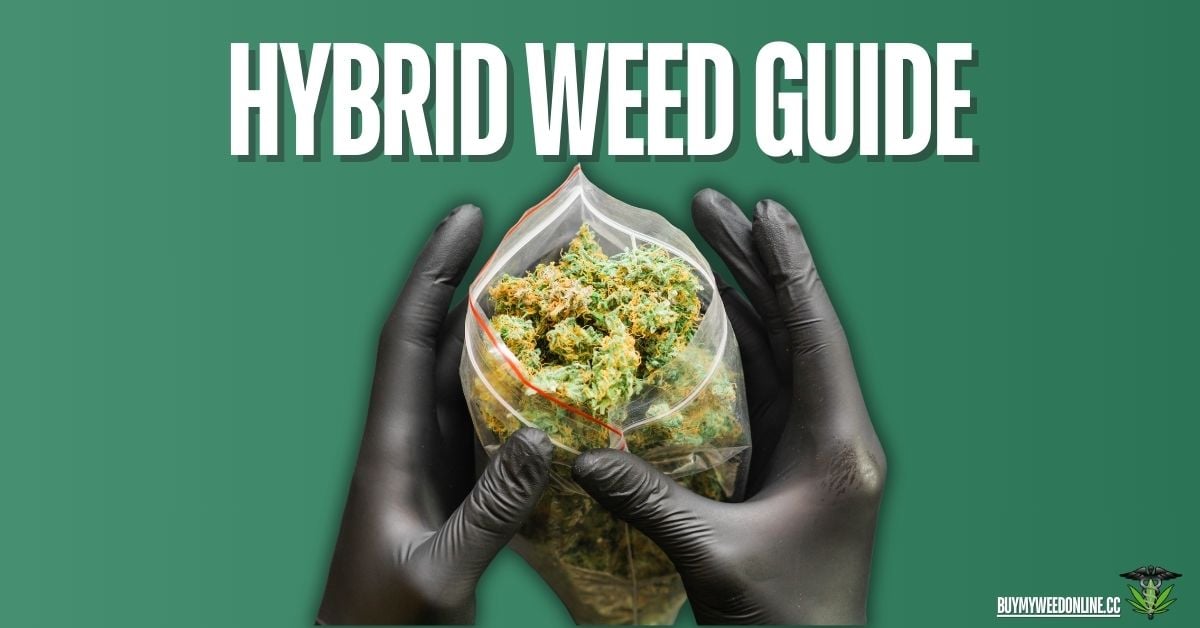 hybrid weed featured image